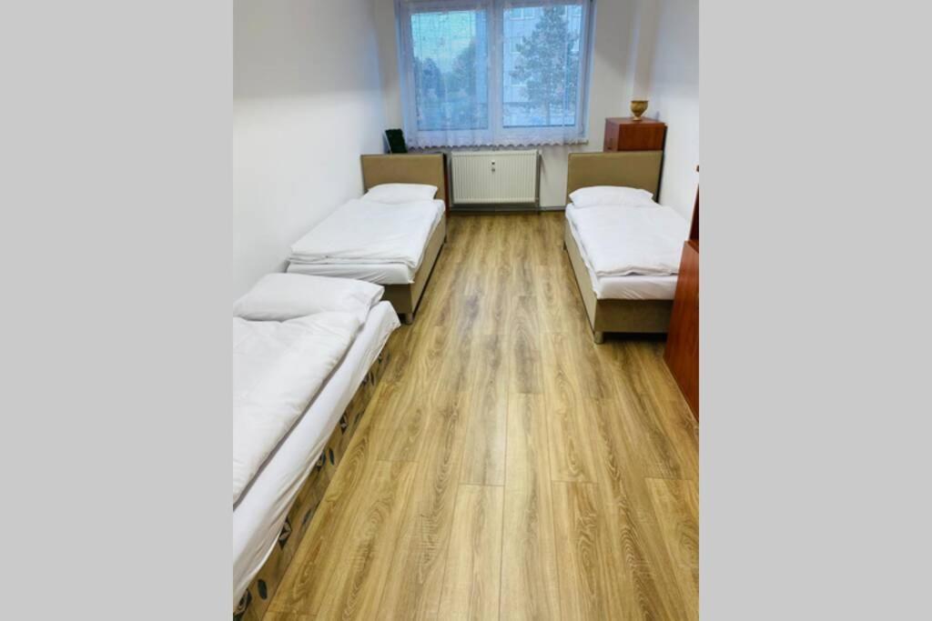 Apartman Solax, Ucnovska 8, Kosice Saca Eksteriør billede